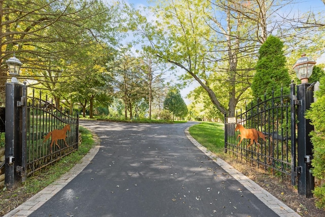 view of street with street lighting, a gate, driveway, and a gated entry