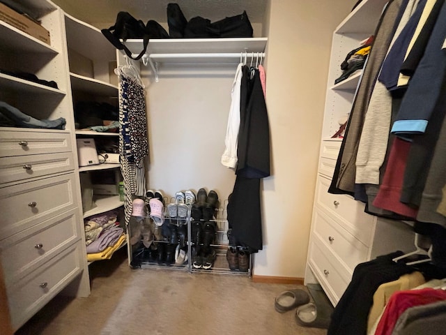 spacious closet featuring carpet floors