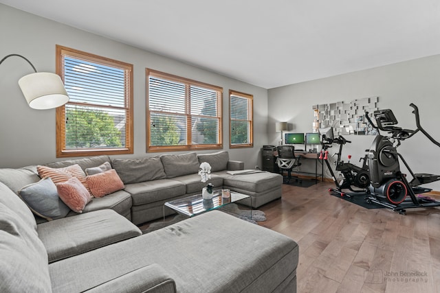 living room featuring hardwood / wood-style floors