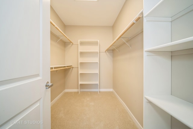 walk in closet with light colored carpet