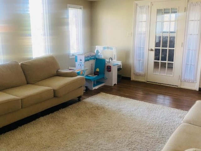 sitting room featuring plenty of natural light and dark wood-type flooring