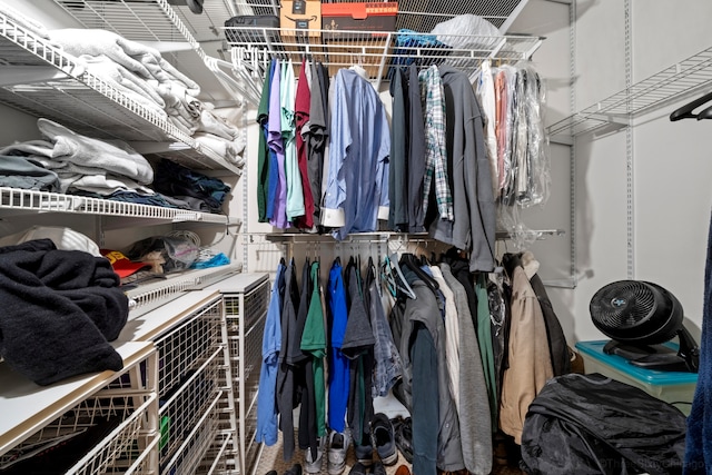 view of spacious closet