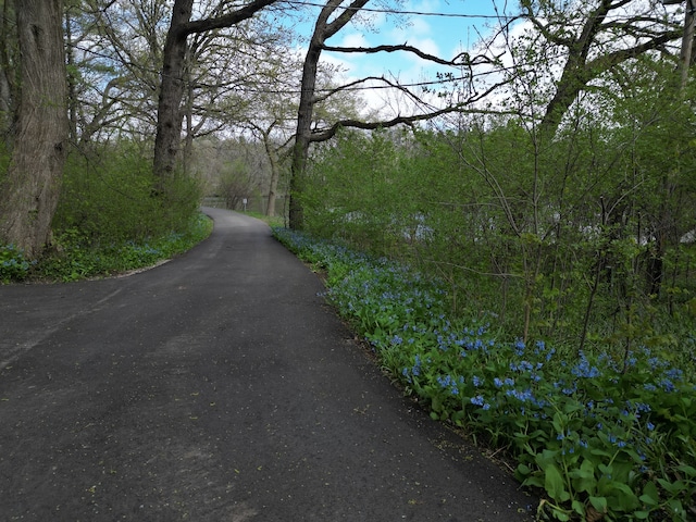 view of road