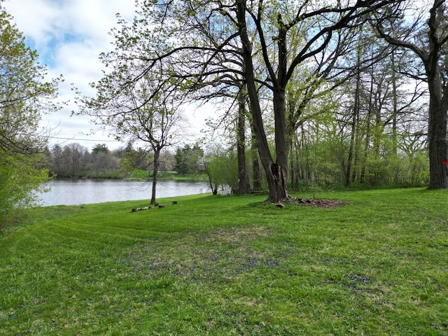 view of yard with a water view