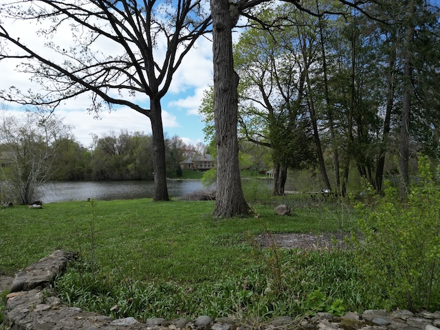 view of yard featuring a water view