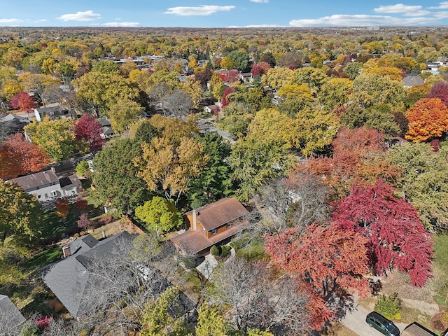 bird's eye view