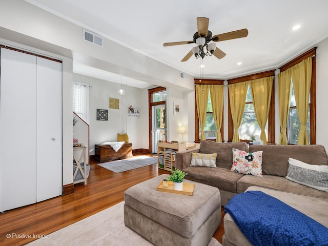 living room with ceiling fan, hardwood / wood-style floors, and crown molding