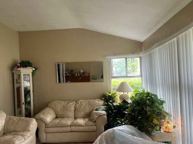 living room featuring lofted ceiling