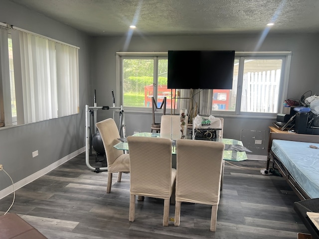 dining room with dark hardwood / wood-style flooring and a textured ceiling