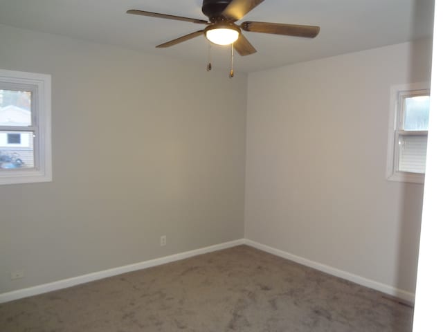 spare room featuring ceiling fan and carpet floors