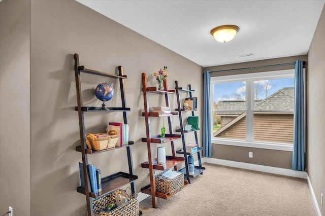 interior space featuring carpet