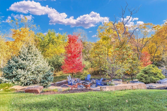 view of yard featuring a patio and a fire pit