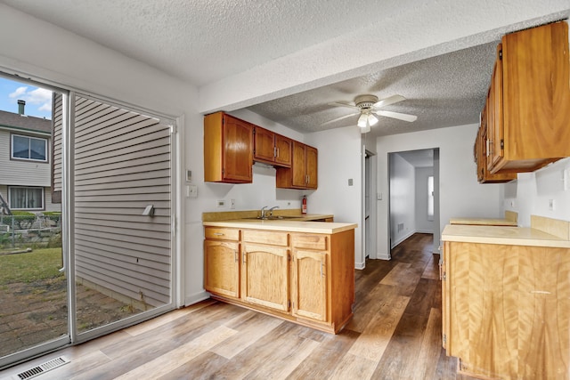 kitchen with light hardwood / wood-style floors, a textured ceiling, sink, and ceiling fan