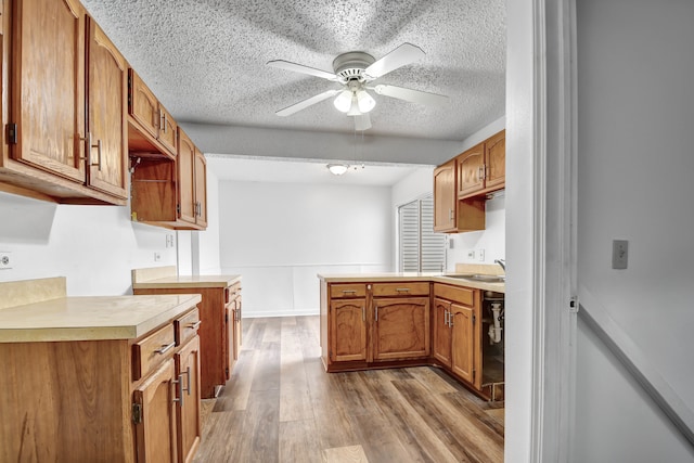 kitchen with light hardwood / wood-style floors, a textured ceiling, sink, and ceiling fan