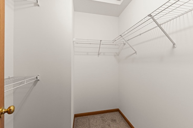 spacious closet with carpet