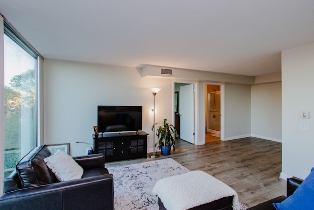 living room with wood-type flooring