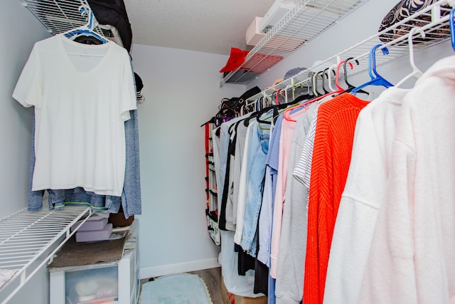 spacious closet with wood-type flooring