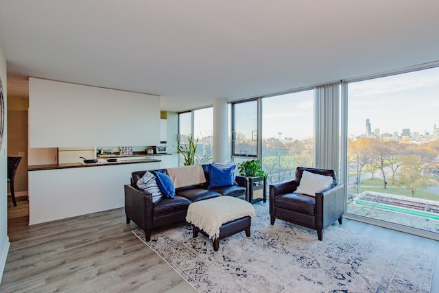 living room featuring a wall of windows and light wood-type flooring