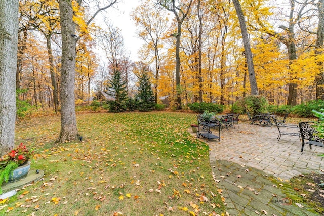 view of yard with a patio area