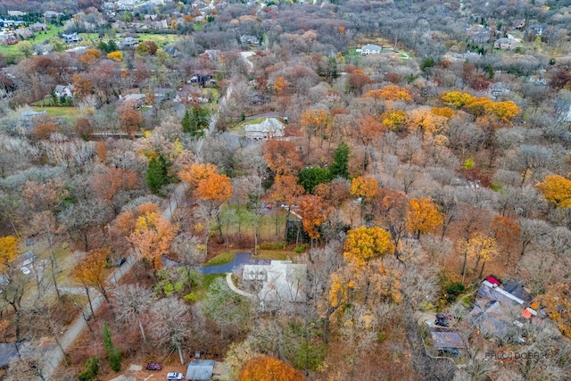 drone / aerial view