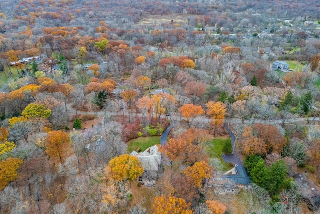 drone / aerial view