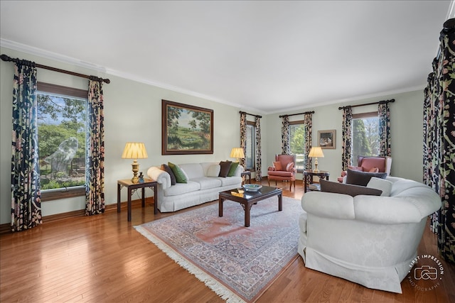 living room with crown molding, wood-type flooring, and a wealth of natural light