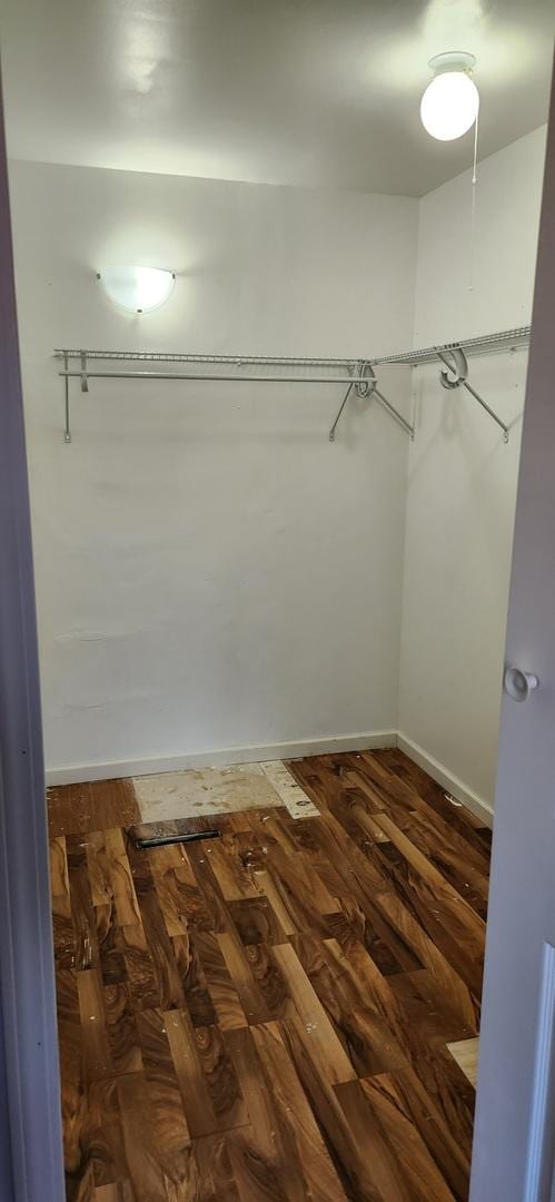 walk in closet with dark hardwood / wood-style flooring