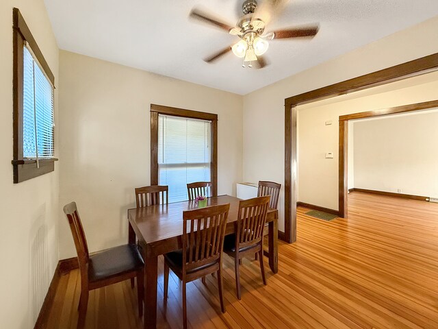 dining space featuring light hardwood / wood-style floors and ceiling fan