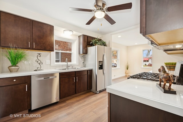 kitchen featuring sink, light wood-type flooring, tasteful backsplash, dark brown cabinetry, and stainless steel appliances