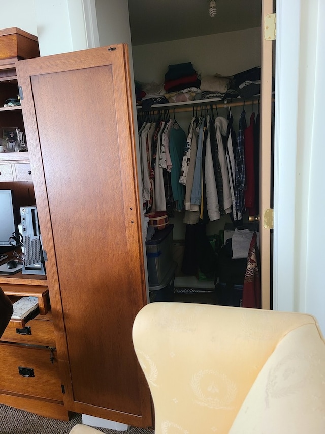 view of spacious closet