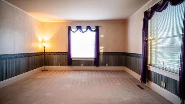 carpeted spare room with ornamental molding