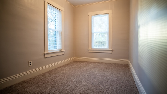 carpeted empty room featuring ornamental molding and a healthy amount of sunlight