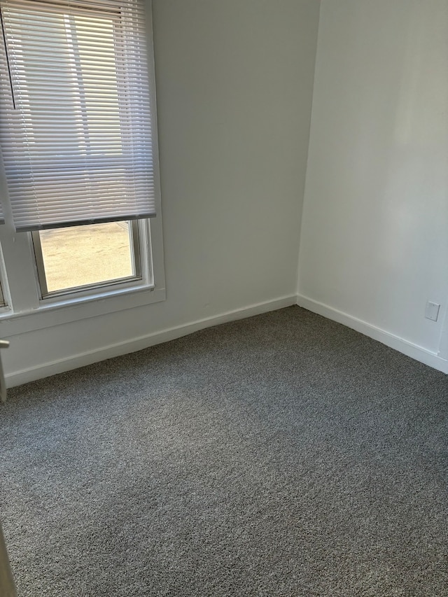 unfurnished room featuring carpet flooring