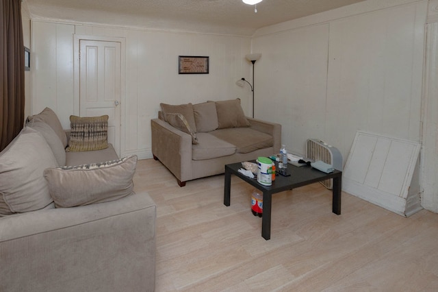 living room with light hardwood / wood-style floors and a textured ceiling