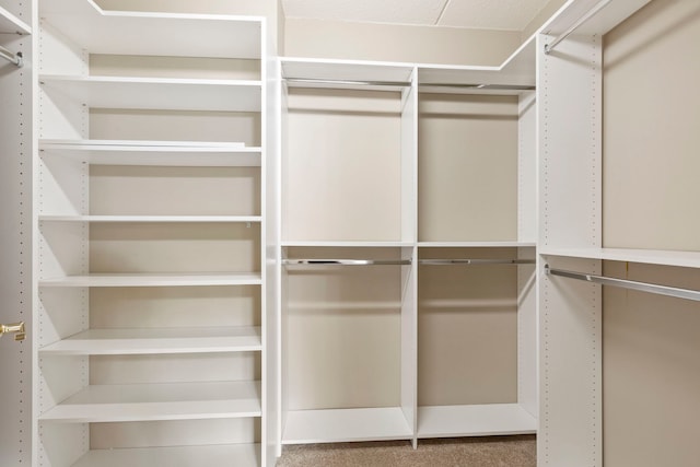 124 W Colfax St Unit 301, Palatine, IL 60067 - view of spacious closet