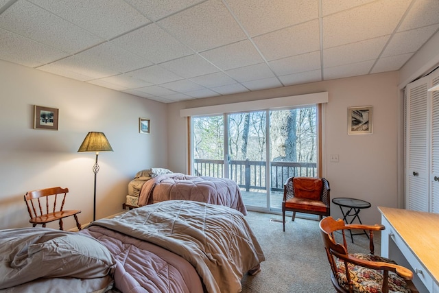 bedroom featuring a drop ceiling, carpet, a closet, and access to exterior