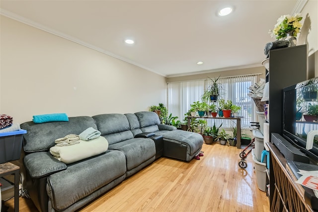 living room featuring ornamental molding and light hardwood / wood-style flooring