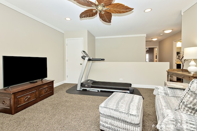 workout area with ceiling fan, carpet flooring, and ornamental molding