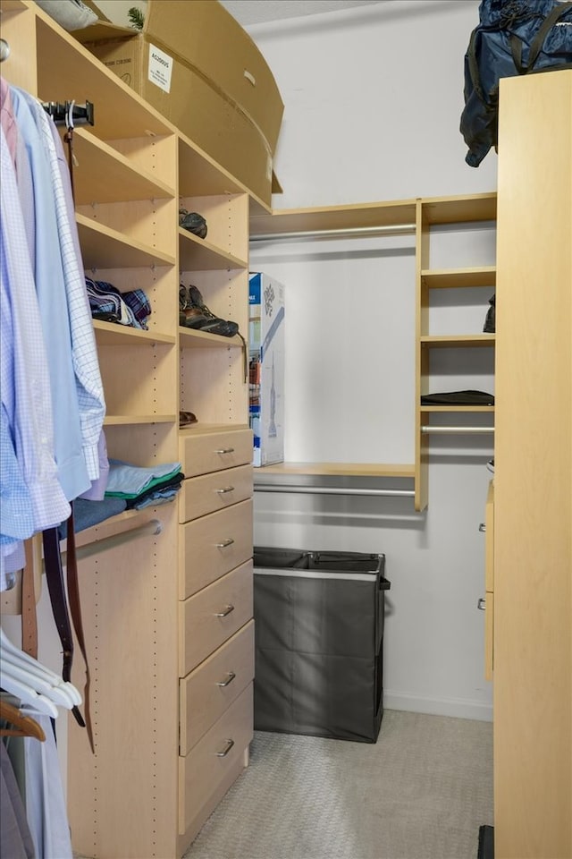 spacious closet featuring light carpet