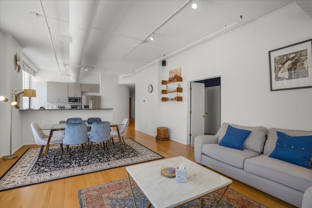 living room with track lighting and light hardwood / wood-style flooring