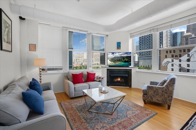 living room with hardwood / wood-style floors