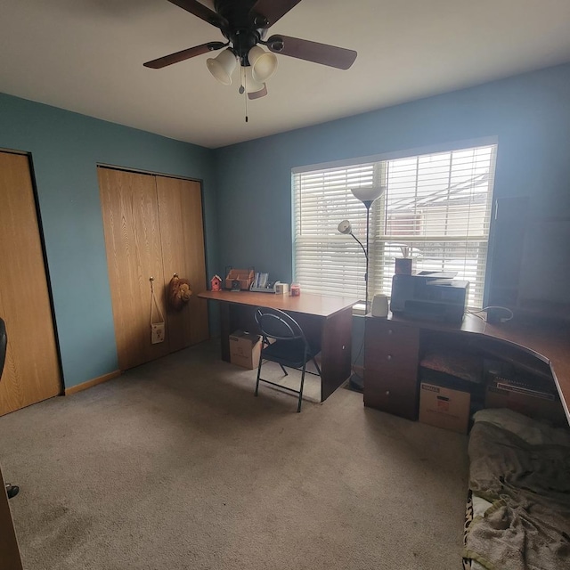 carpeted office featuring ceiling fan