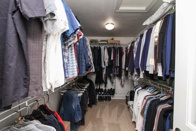 walk in closet featuring carpet