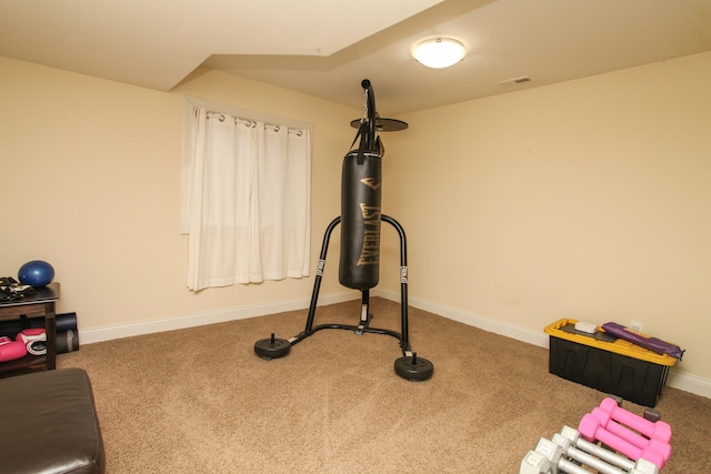 exercise room featuring carpet flooring