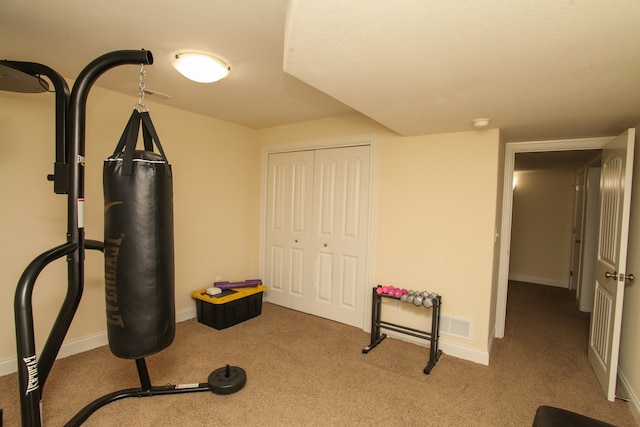 exercise area featuring light carpet