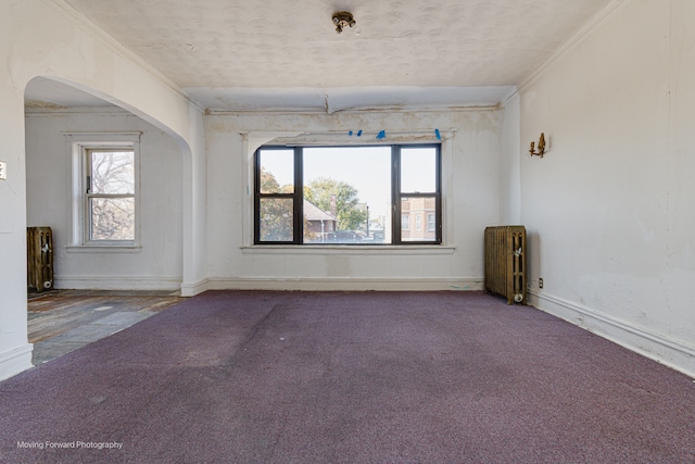 empty room with crown molding, radiator heating unit, and carpet