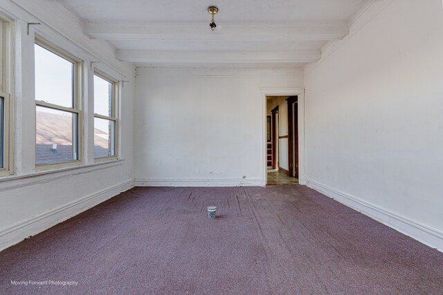 empty room featuring beam ceiling and carpet