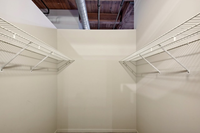 view of spacious closet