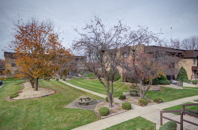 view of home's community with a yard