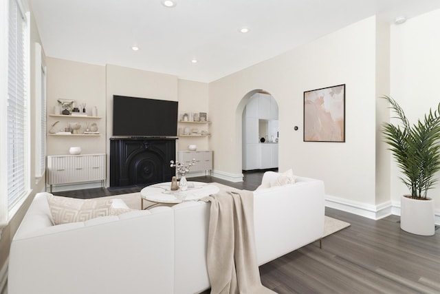 living room with built in shelves and dark hardwood / wood-style floors